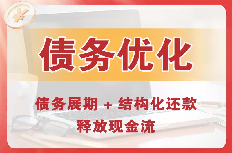 海兴债务优化