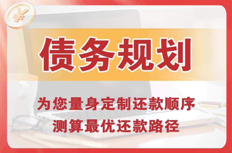 海兴债务规划